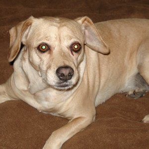 I ACCEPT REASONABLE OFFERS!